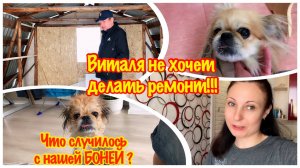 УРА!!! МЫ ЕДЕМ НА ДАЧУ/УГОВОРИЛА ВИТАЛЮ ПОЕХАТЬ НА ДАЧУ/ЧТО СЛУЧИЛОСЬ С НАШЕЙ БОНЕЙ???/МОИ ПЛАНЫ