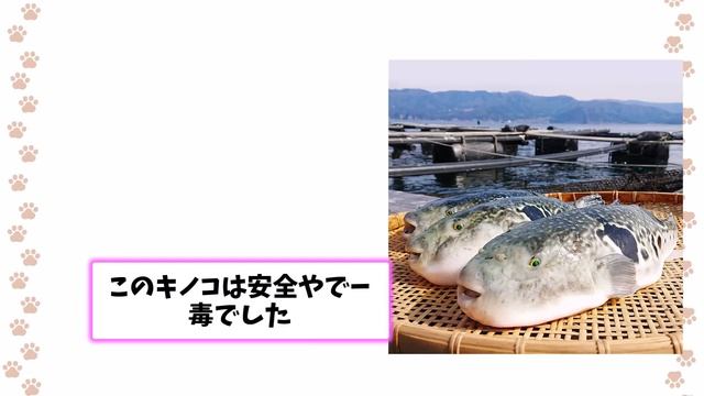 【2ch動物スレ】ザリガニvs猛毒フグ→結末が悲惨すぎる... смотреть онлайн