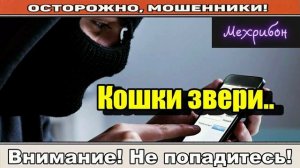 Мошенники звонят по телефону _ Кошка нaкaкaлa на СНИЛС.(продолжение)