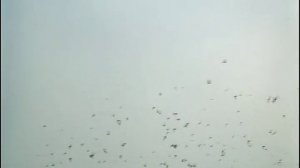 Любовь, волшебная страна