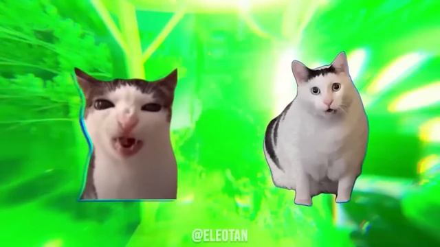 MEMENOMALY