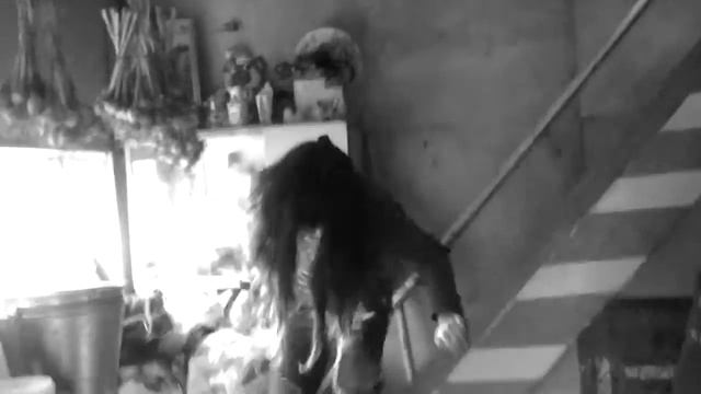 НЕТ. смотреть онлайн