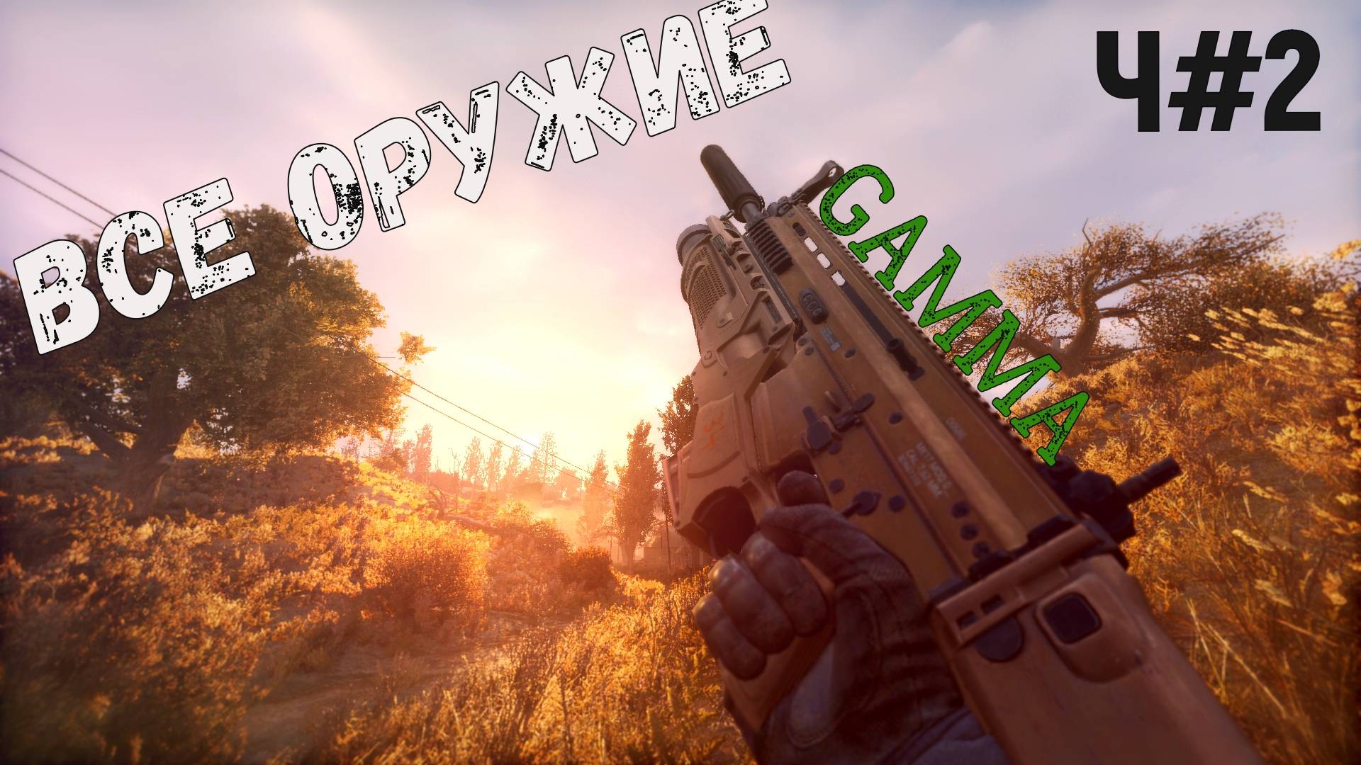 ОБЗОР ОРУЖИЯ в Anomaly GAMMA STALKER часть#2