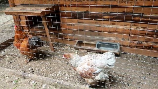 SATVIK KE SATH BACCHA BAN GAYA ( PARK SKAZKA ) смотреть онлайн