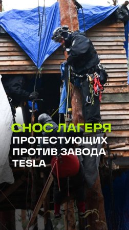 Полиция Берлина сносит лагерь протестующих против завода Tesla: экоактивисты упорно противостоят