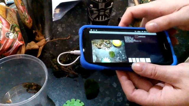 Chlorophyll Detector Mark 3 смотреть онлайн