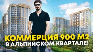 КОММЕРЦИЯ В САМОМ ЦЕНТРЕ СОЧИ! 900 м2! Доход от аренды от 2 млн в месяц! 330 000 000р🔥 #сочи