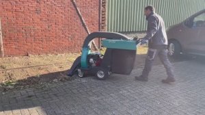 Профессиональный садовый пылесос Remarc LS XP 5.0 #1