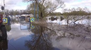 Подтопление катерных стоянок на реках Волга и Которосль г. Ярославль май 2021.