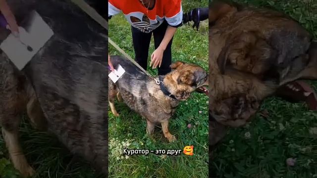 Сегодня в рамках цикла «Год ответственности» поговорим про опекунство и кураторство смотреть онлайн