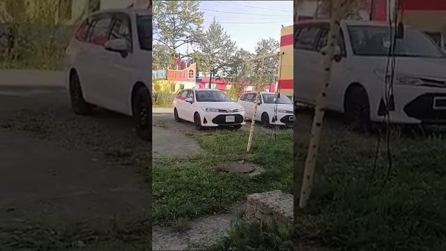 Отзыв о компании PAKDV.RU❗️ Corolla Fielder 3шт❗️