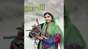 Эй дил балои дилбар Зеботарин суруди Эрони 2021