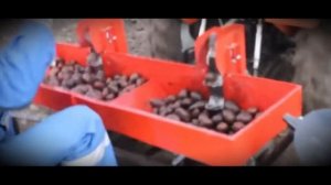 Навесная Картофелесажалка 2х рядная КС 2МТ