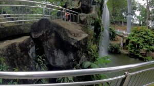 #3_Малайзия 2024. Куала-Лумпур, парк птиц, башни Петронас. Супермаркет Mercato