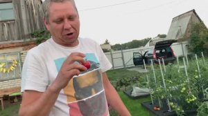 КУПИЛА ЗАБРОШЕННУЮ ДАЧУ/ КУДА Я ПРОПАЛА???/ВЕРНУЛИСЬ НА ДАЧУ/ОБЗОР МОЕГО УЧАСТКА/ЧТО С МОИМ УРОЖАЕМ