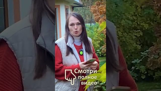 Чем ЛУЧШЕ удобрять цветы?