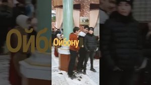 конибодом ойбону табриги 💫