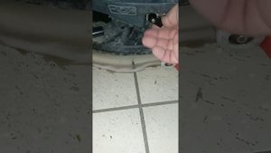 подача воды на прямую в поломоечной машине lavamatic 30