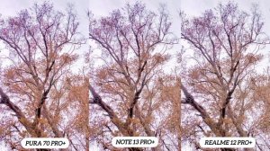 Huawei Pura 70 Pro+ Vs Redmi Note 13 Pro+ Vs Realme 12 Pro+ | Camera different