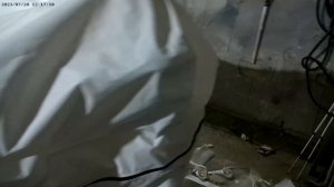 Тент для транспортировки и хранения лодки Кайман - 36S