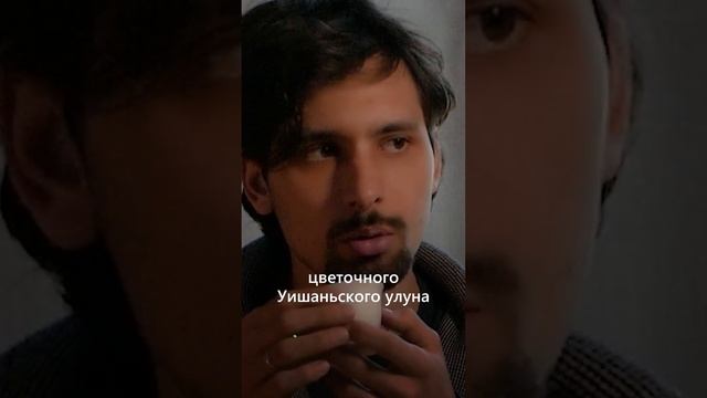 В чём разница между Шуй Сянем и Жоу Гуем?