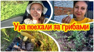 УРА...ПОЕХАЛИ ЗА ГРИБАМИ/ГРИБНИКИ БЛИН/ОДНА ПОШЛА В ЛЕС/ПОЛЕЗЛА ВО ВРАГ/ОДНОЙ В ЛЕСУ ОЧЕНЬ СТРАШНО