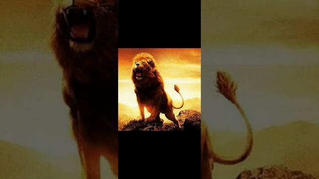 Самый красивый Сильный нашид 2020 смотреть онлайн