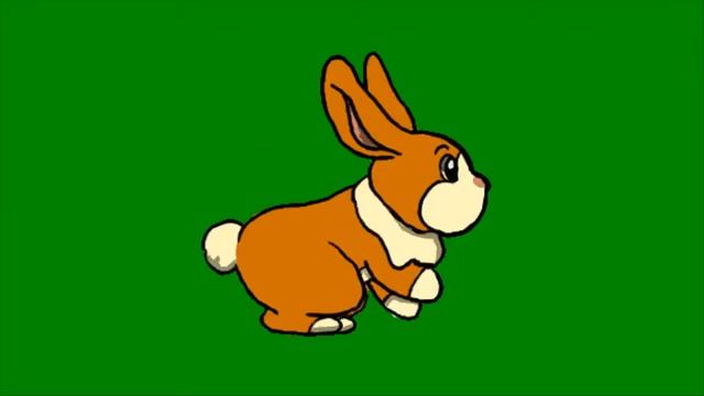 Футаж хромакей Кролик 2 смотреть онлайн