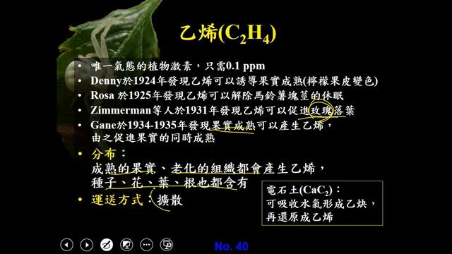 108暑輔高三選修生物ch04 3 15乙烯C2H4三禮 смотреть онлайн