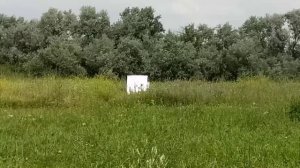 Retay Gordion Max 5. Родные дульные сужения отстрел.