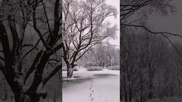 Очень красиво падают гигантские снежинки