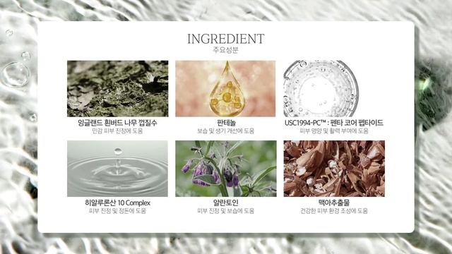 57ºN | Serum Ampoule _KR