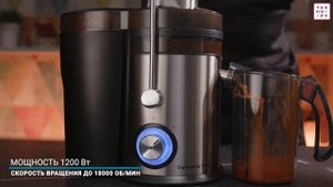 Соковыжималка Zigmund & Shtain EJ 756