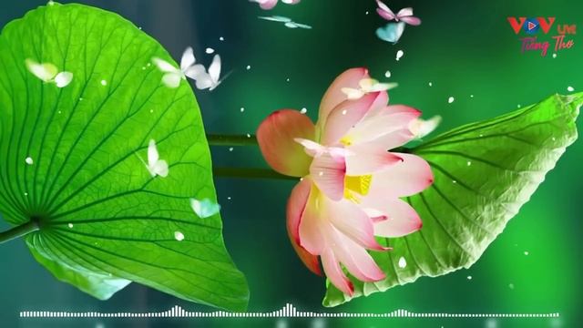 NSND Thúy Mùi Ngâm Thơ Nguyễn Bính Đêm Khuya - Tiếng Thơ Đêm Khuya Ngủ Cực Ngon смотреть онлайн