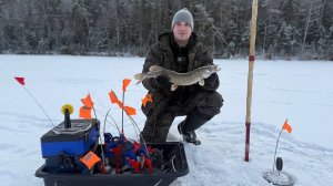 ПЕРВЫЙ ЛЕД 2024-2025! ПОПАЛИ на ЖОР ЩУКИ В ЛЮТЫХ КОРЯГАХ!