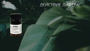 ДИФЕР Обзор нового продукта компании Сово-Сова
