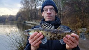 Рыбалка Химкинское водохранилище. 19.11.2024