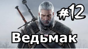 Куда пропал мальчик? Ведьмак The Witcher День 12