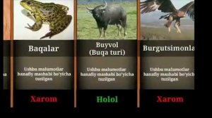 ИСЛОМДА ГУШТИ ХАЛОЛ ВА ХАРОМ БУЛГАН ХАЙВОНЛАР