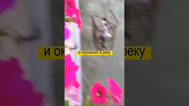 Чиновников в этом городе окунают в воду за проступки смотреть онлайн