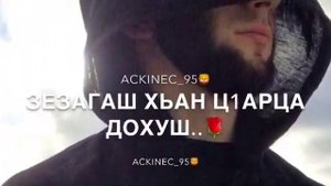 Чеченская песня | 😍Ас сай даггар дуьцуш хийла кехат яздина😻🔥