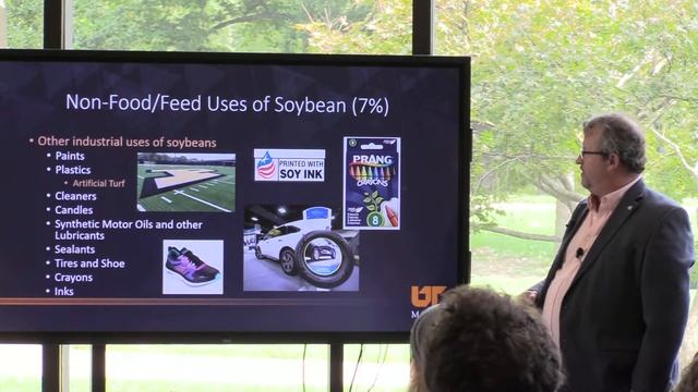 The Magic Bean смотреть онлайн