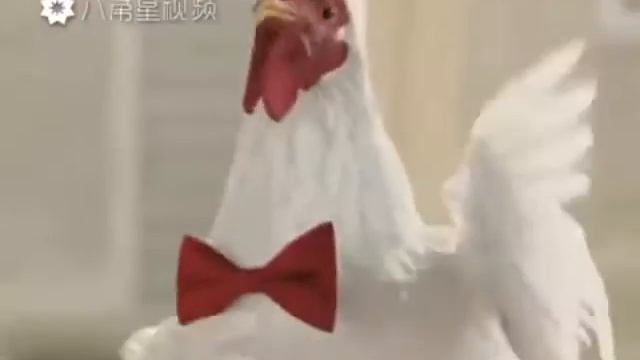 Ко ко ко музыка смотреть онлайн