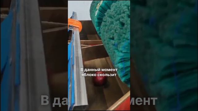 Работа сервисной службы