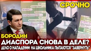 Бородин: диаспора снова в деле? Дело о нападении на школьника пытаются «завернуть»