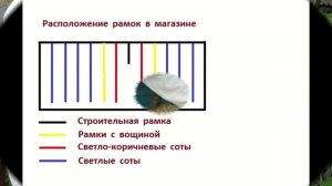 Контроль освоения первых магазинов