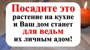 Как избавиться от врагов и недоброжелателей, ведьм и колдунов с помощью лаврового листа на кухне. На