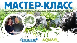 Мастер-класс с Florariumplants по оформлению флорариума с живыми растениями и водопадом.