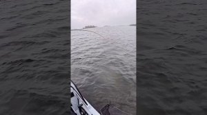 сильная щука на спиннинг #рыбалка #отдых