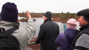 Туристы массово едут на болота Ельня в Беларусь в поисках новых ощущений